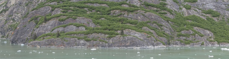 315-9985--9992 Vegitation Stripes Tracy Arm Fjord Panorama